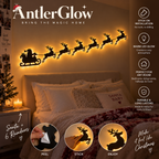 Santa Claus & Reindeer LED Decorative Lights